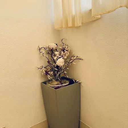 Πανσιόν Roby Ρίμινι